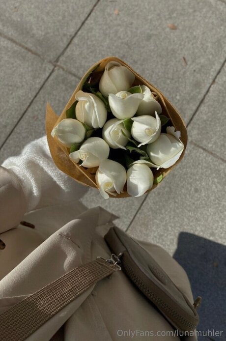 Lunamuhler xxxスター アーカイブ