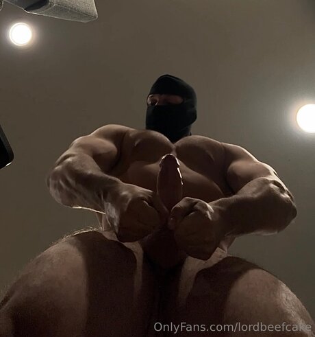 Lordbeefcake かわいいスター 写真