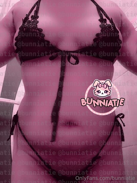 Bunniatie アートモデル 画像