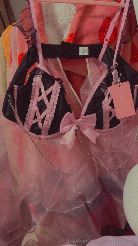 Xxwetpawzzx ポルノスター 画像