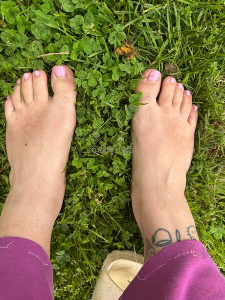 Gabbyglazer 美しいモデル 写真