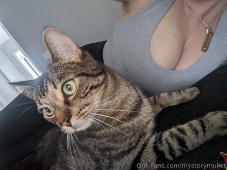 Mysterymullet アートポルノスター ギャラリー