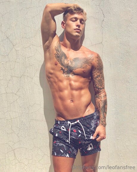 Leofansfree 裸のスター 写真