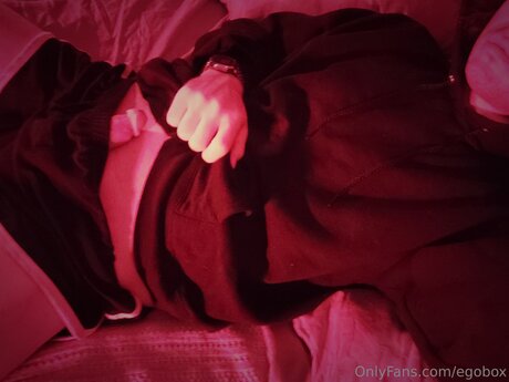 Egobox ホットモデル 画像