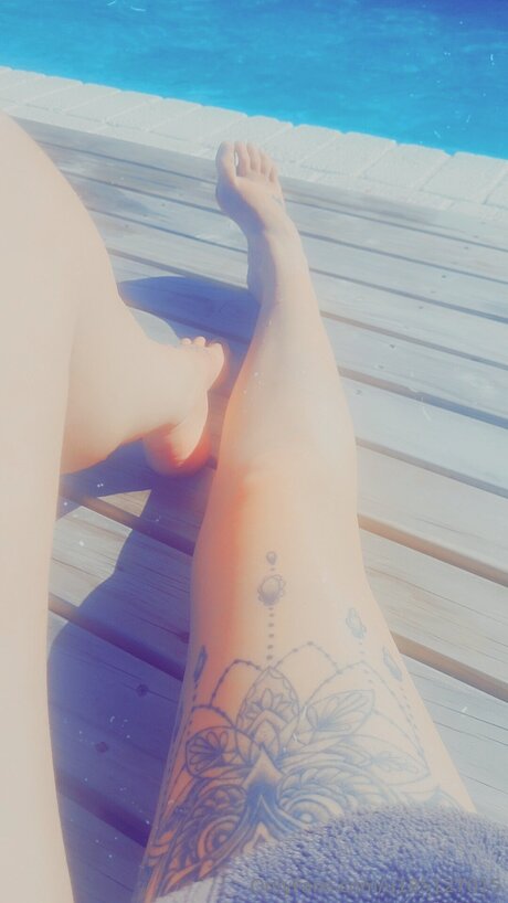 U185127015 かわいいスター ギャラリー