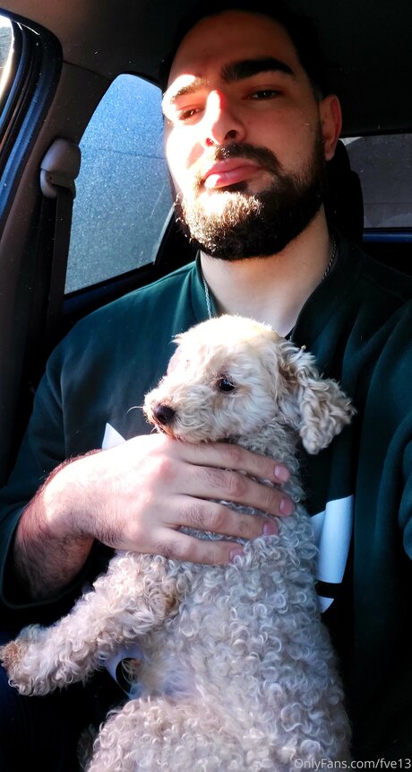 Fve13 アートスター 画像