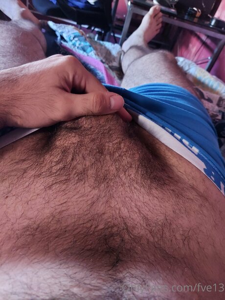 Fve13 完璧な女優 写真