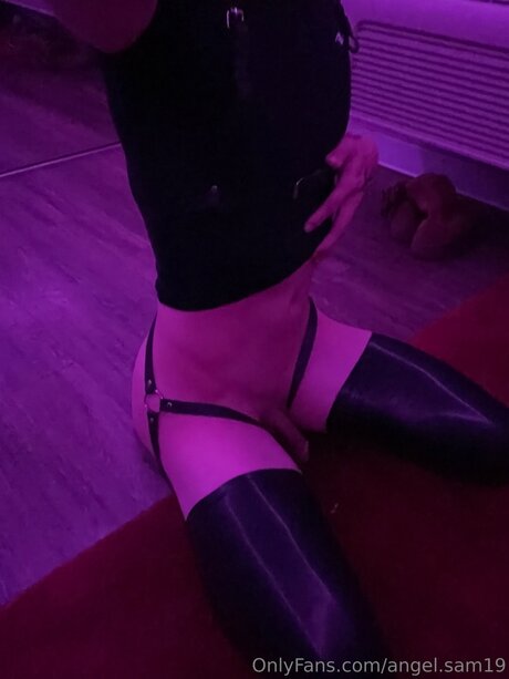 Angel Sam19 HDモデル 写真