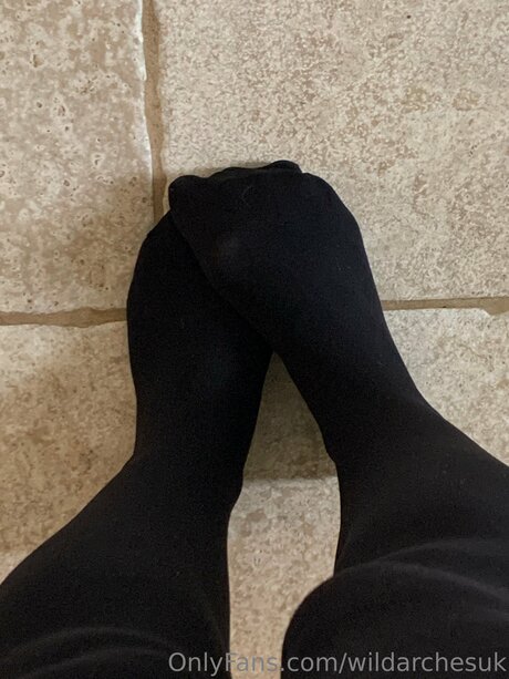 Wildarchesuk 完璧なポルノスター ギャラリー