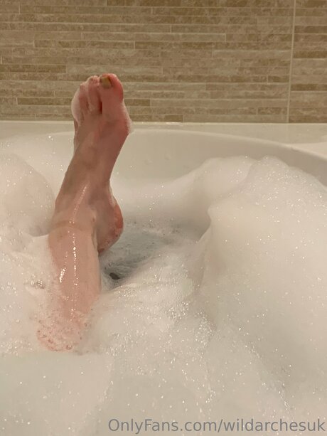 Wildarchesuk 限定モデル アーカイブ