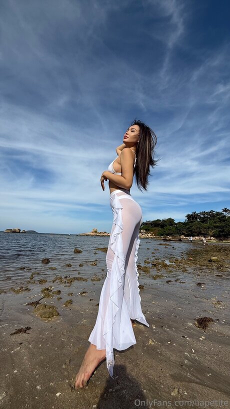 Liapetite HDモデル ギャラリー