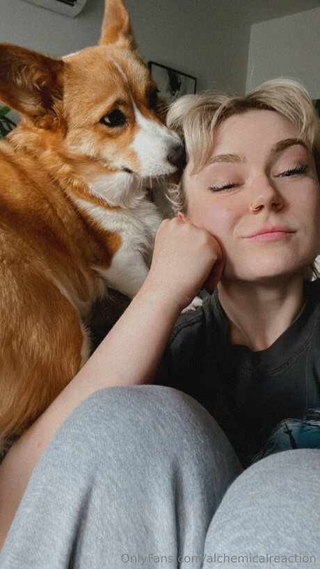 Alchemicalreaction 完璧な女優 画像