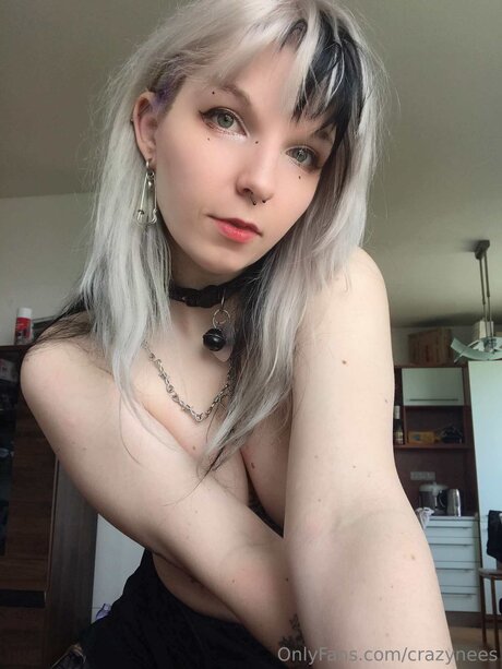 Crazynees プロフィール写真