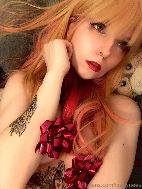 Crazynees ポルノ女優 画像