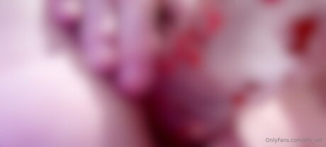 Ells Xof 素敵なスター 写真