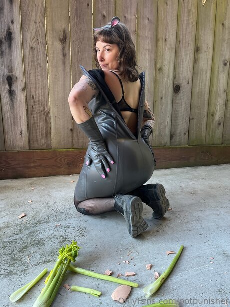 Potpunisher セックススター 写真