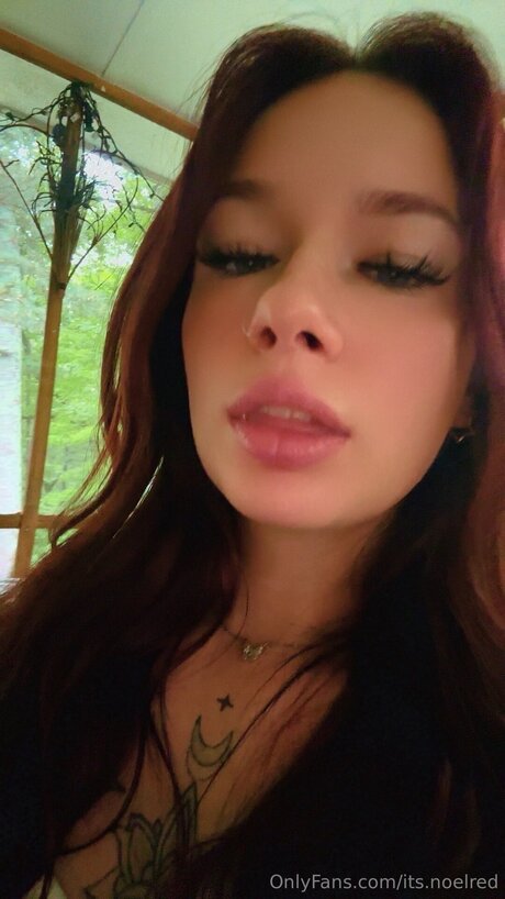 Thetattedredheadd ヌードスター アーカイブ