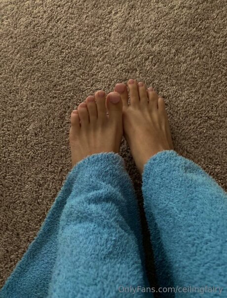 Ceilingfairy ポルノスター トップ 写真