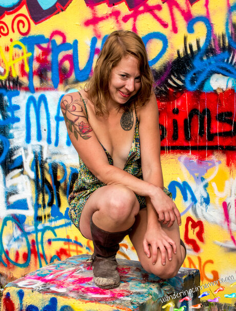 Wanderingcinnamon 素敵なスター 写真