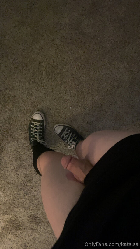 Kats Ss 素敵なスター 画像