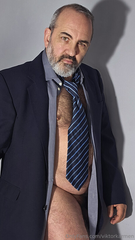 Viktorkarmen HDモデル ギャラリー