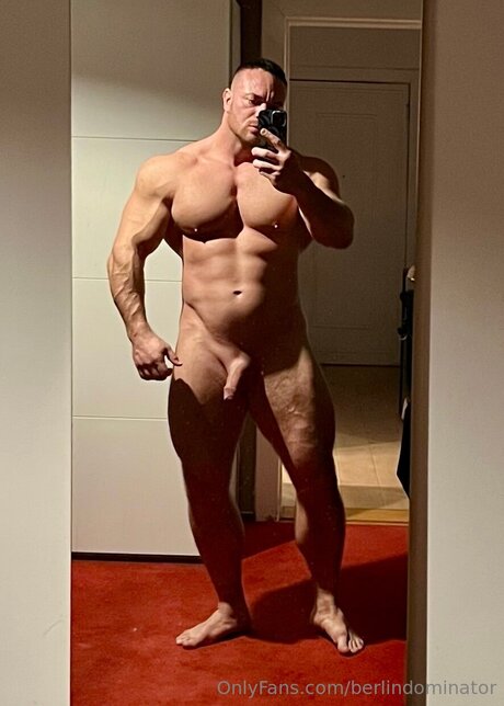 Berlindominator 高品質のスター 写真