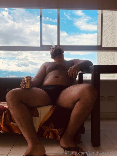 Teddy Bear05 トップモデル 写真