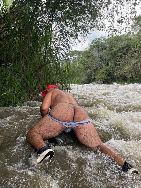 Teddy Bear05 無料女優 画像