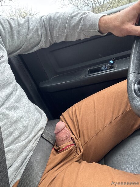 Davidgames HDモデル 画像