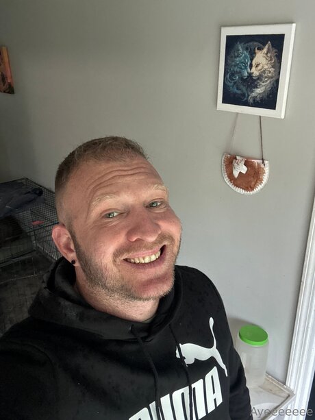 Davidgames スター xxx 画像