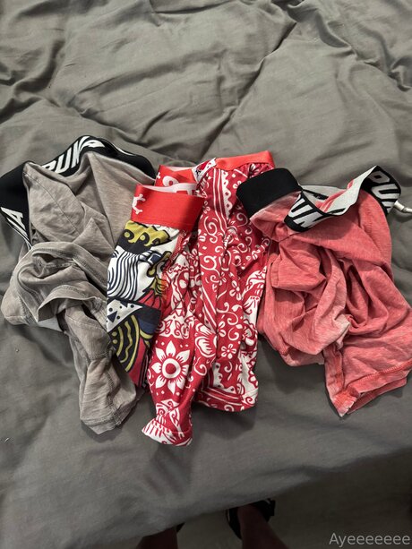 Davidgames アートモデル 画像