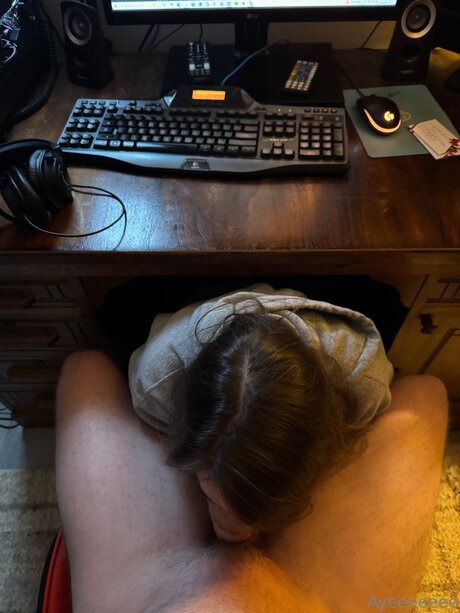 Davidgames ポルノスター トップ 写真