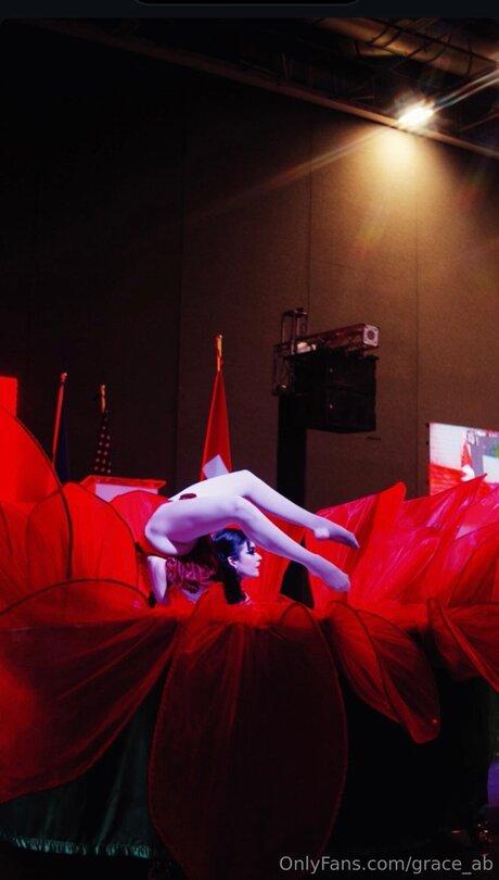 Grace Ab 写真集