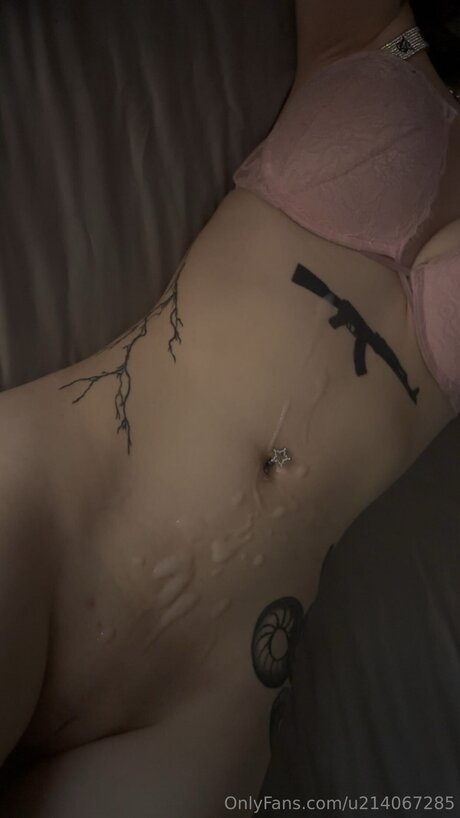 U214067285 HDスター 写真