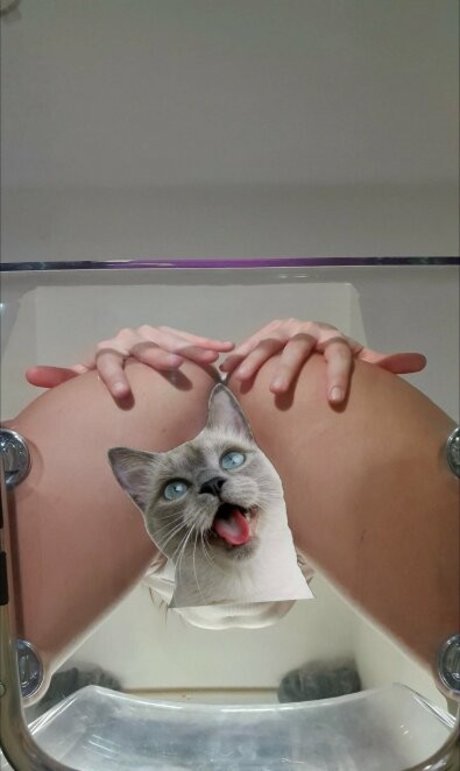 candycatcris アートポルノスター アーカイブ