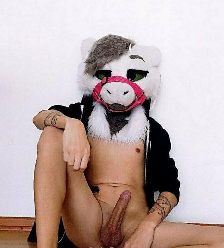 kiltro dragon アートスター 画像