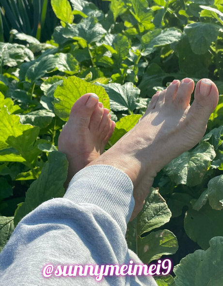 sunnymei アダルト女優 画像