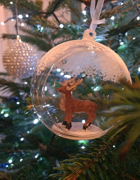 kayleigh95 無料モデル 写真