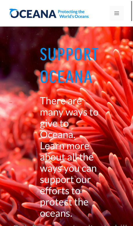 realtaylerhills ポルノモデル 画像