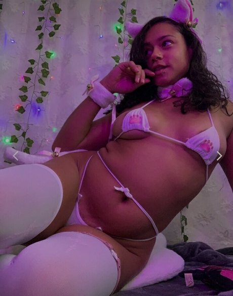 Hellazebra HDスター ギャラリー