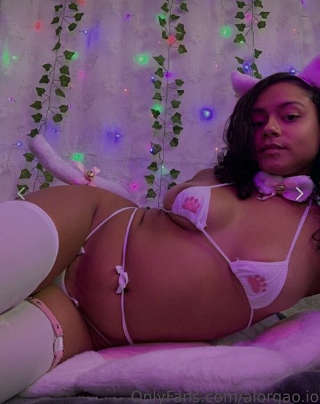 Hellazebra 完璧なスター 画像