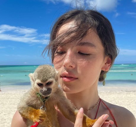 ゲイディルドオンリーファンズ パーフェクト 写真