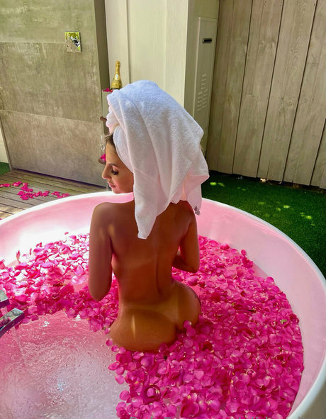 alidayalter HDモデル 写真