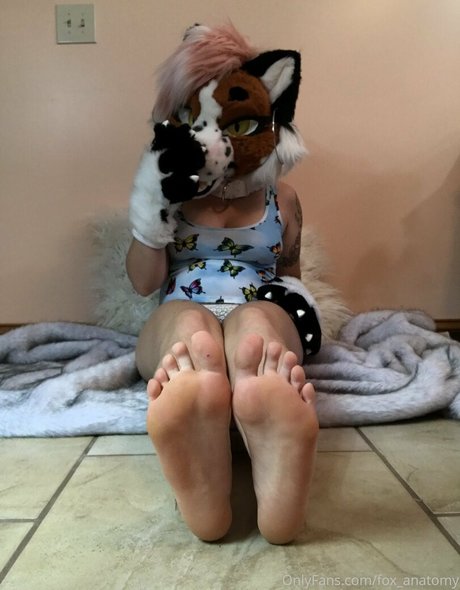 fox anatomy 素敵なポルノスター アーカイブ