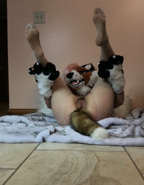 バニープリンセスオンリーファンズ トップ 写真