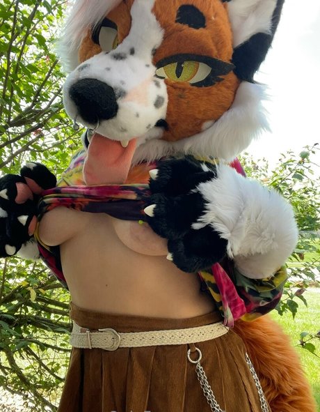 fox anatomy プロフィール写真