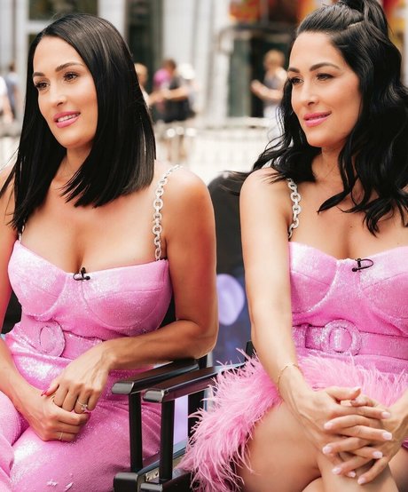 Nikki Bella xxxモデル 写真