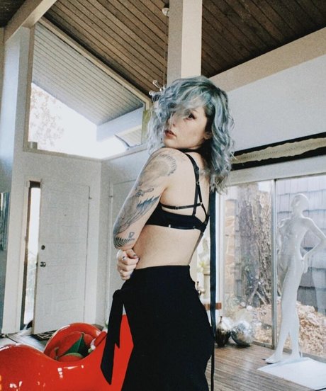 Mothica 高品質スター 写真