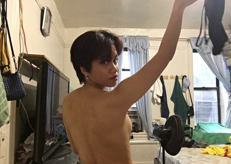 Soft collection13 高品質スター ギャラリー