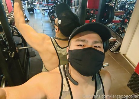 BBWオンリーファン アートポルノ 写真